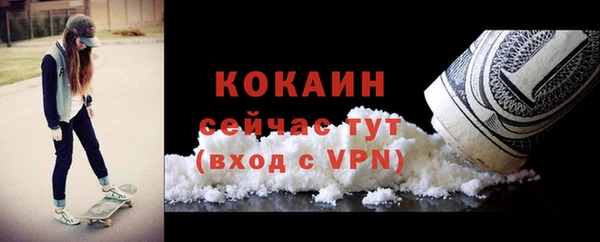 метадон Новодвинск