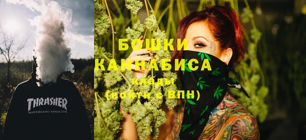 дмт Арсеньев