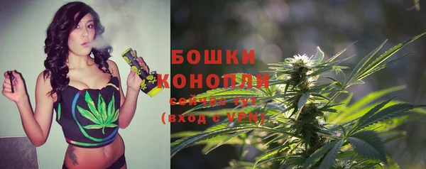 дмт Арсеньев
