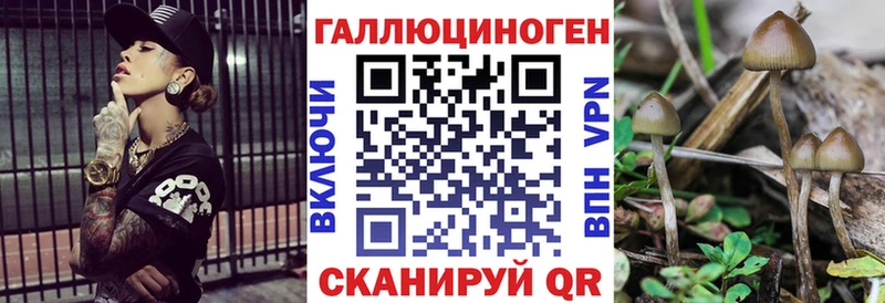 Галлюциногенные грибы прущие грибы  маркетплейс какой сайт  Орёл 